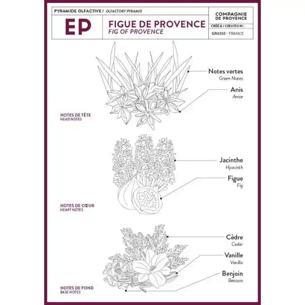 La Compagnie de Provence Hand Cream 30ml FIG OF PROVENCE